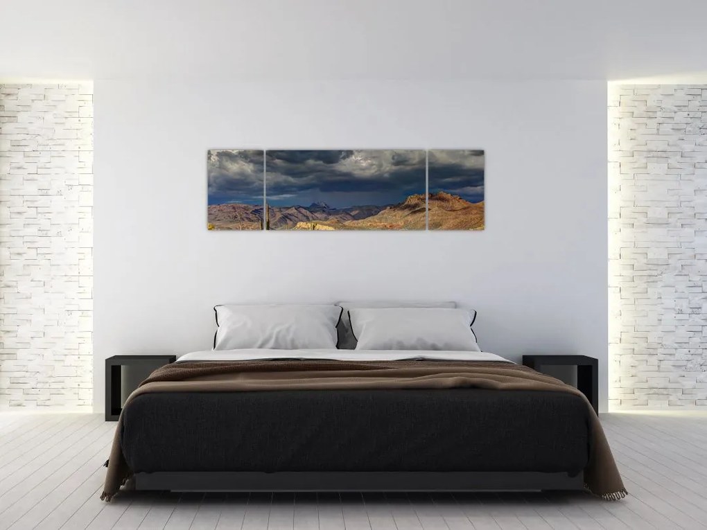 Obraz - kaktusy w przyrodzie (170x50 cm)