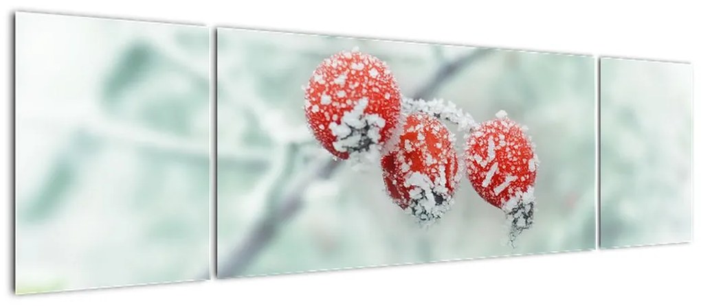 Obraz mrożonych owoców dzikiej róży (170x50 cm)