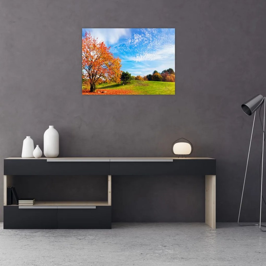 Obraz - Jesienny krajobraz (70x50 cm)