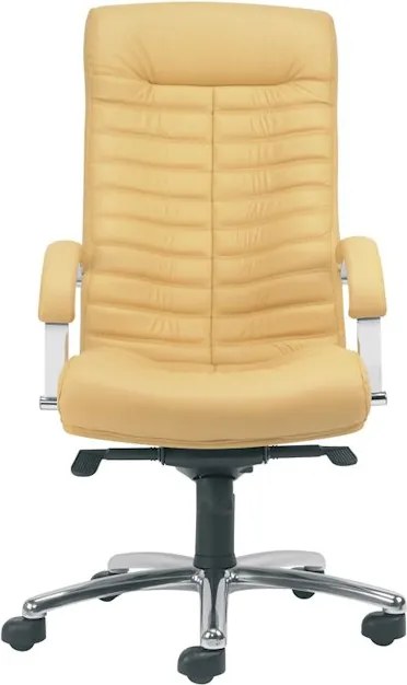 Fotel gabinetowy Orion