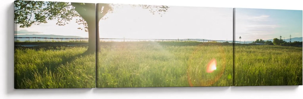 Obraz letniej łąki (170x50 cm)