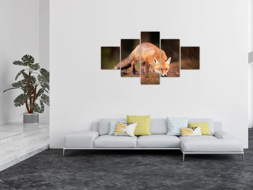 Obraz - Lis w lesie (125x70 cm)