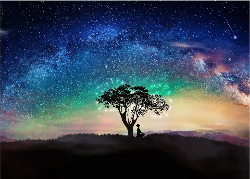 Obraz na szkle - Odpoczynek pod gwiazdami (70x50 cm)