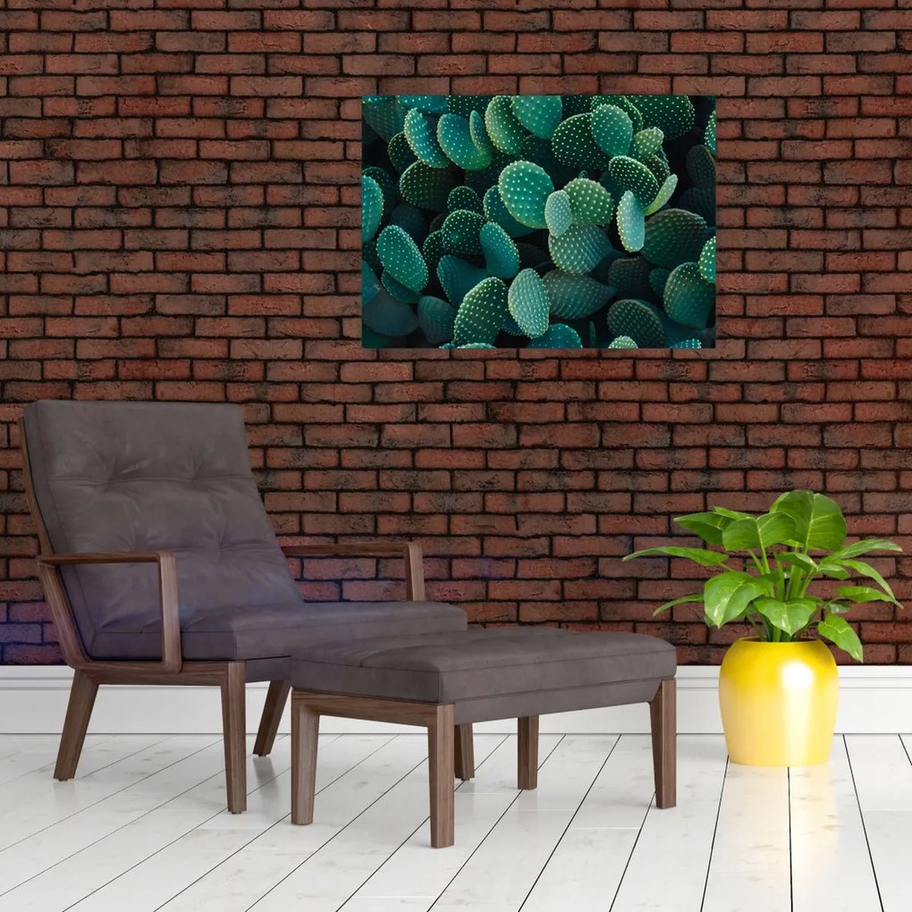 Obraz na szkle - Opuncja (70x50 cm)