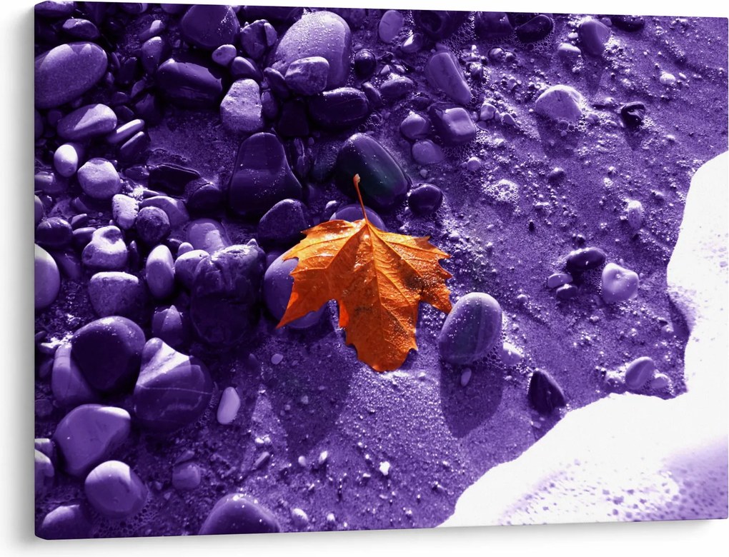 Obraz - Plaża morska (70x50 cm)