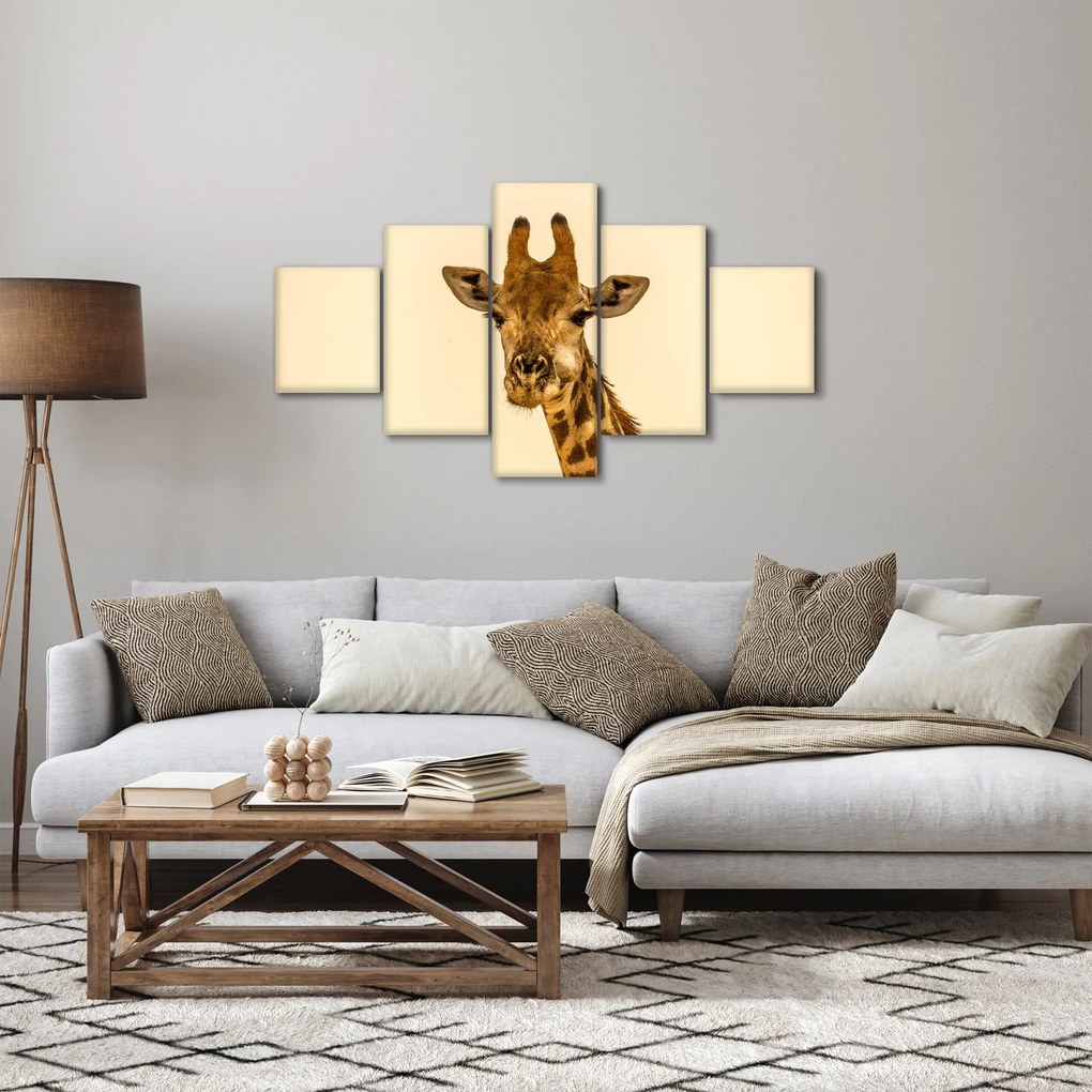 Obraz żyrafy (125x70 cm)