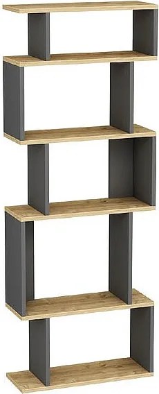 Półka stojąca EROS - dąb ciemny / antracyt, 60x160x22