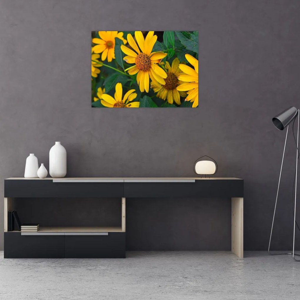 Obraz na szkle - żółte kwiaty (70x50 cm)