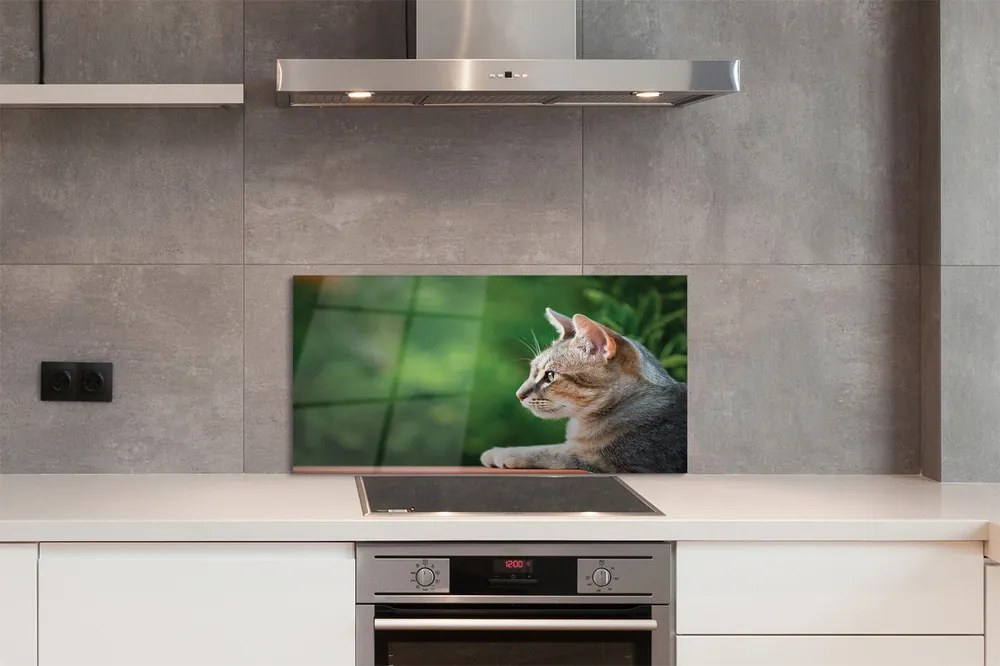 Panel Szklany Hipnotyzujące Spojrzenie Pupila