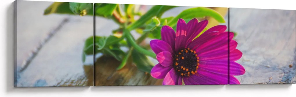 Obraz ciętego kwiatu (170x50 cm)