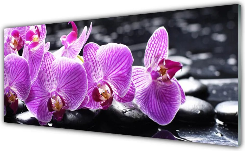 Panel Kuchenny Subtelny Płatek Natury