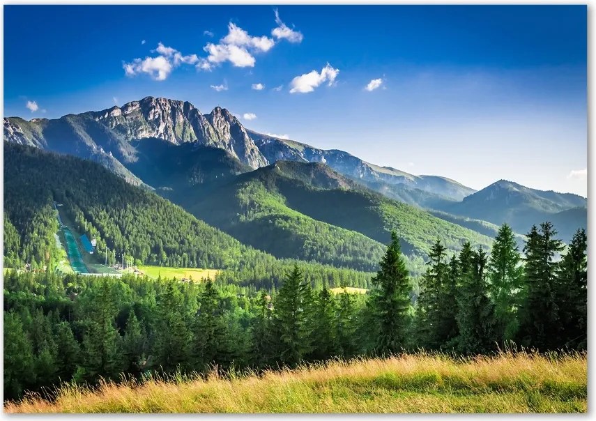 Foto obraz szklany Skocznia w Tatrach