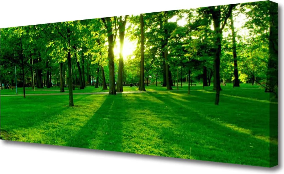 Obraz na płótnie Spokojna Aleja w Parku