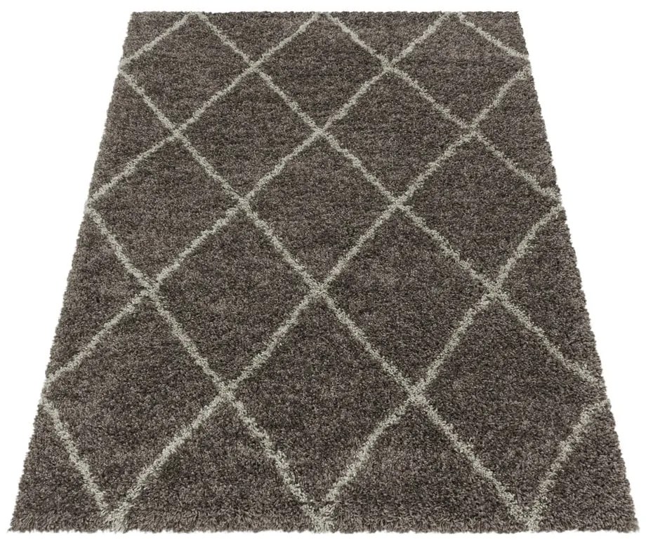 Brązowy dywan 120x170 cm Alvor – Ayyildiz Carpets