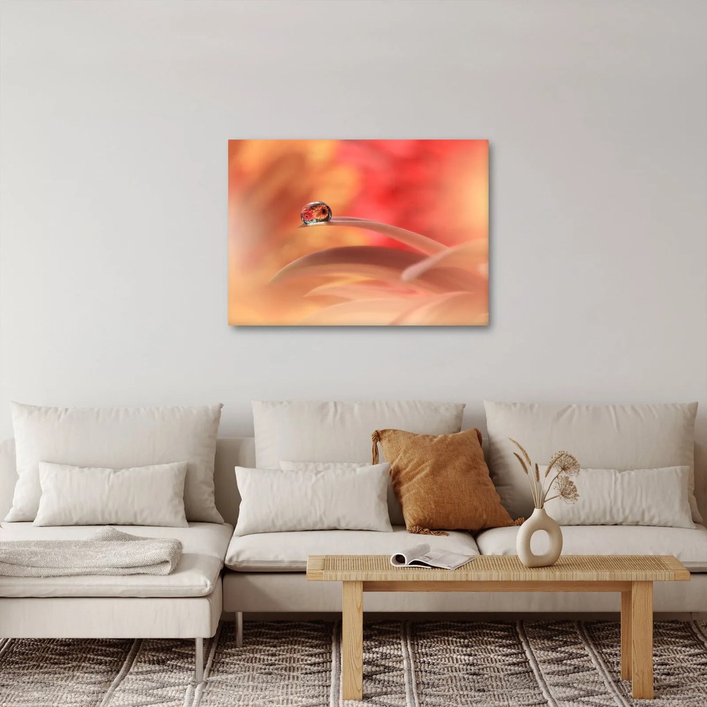 Obraz kwiecistej kropli rosy (70x50 cm)