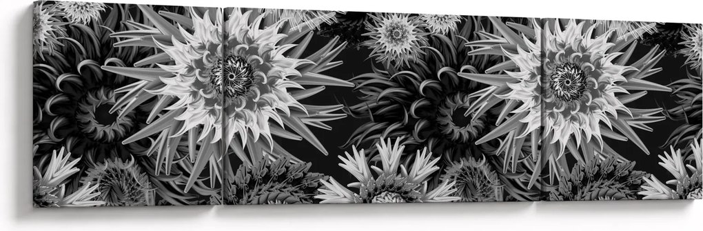 Obraz - Czarne i białe osty (170x50 cm)