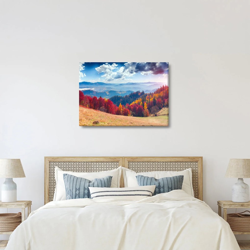 Obraz kolorowego jesiennego krajobrazu (70x50 cm)