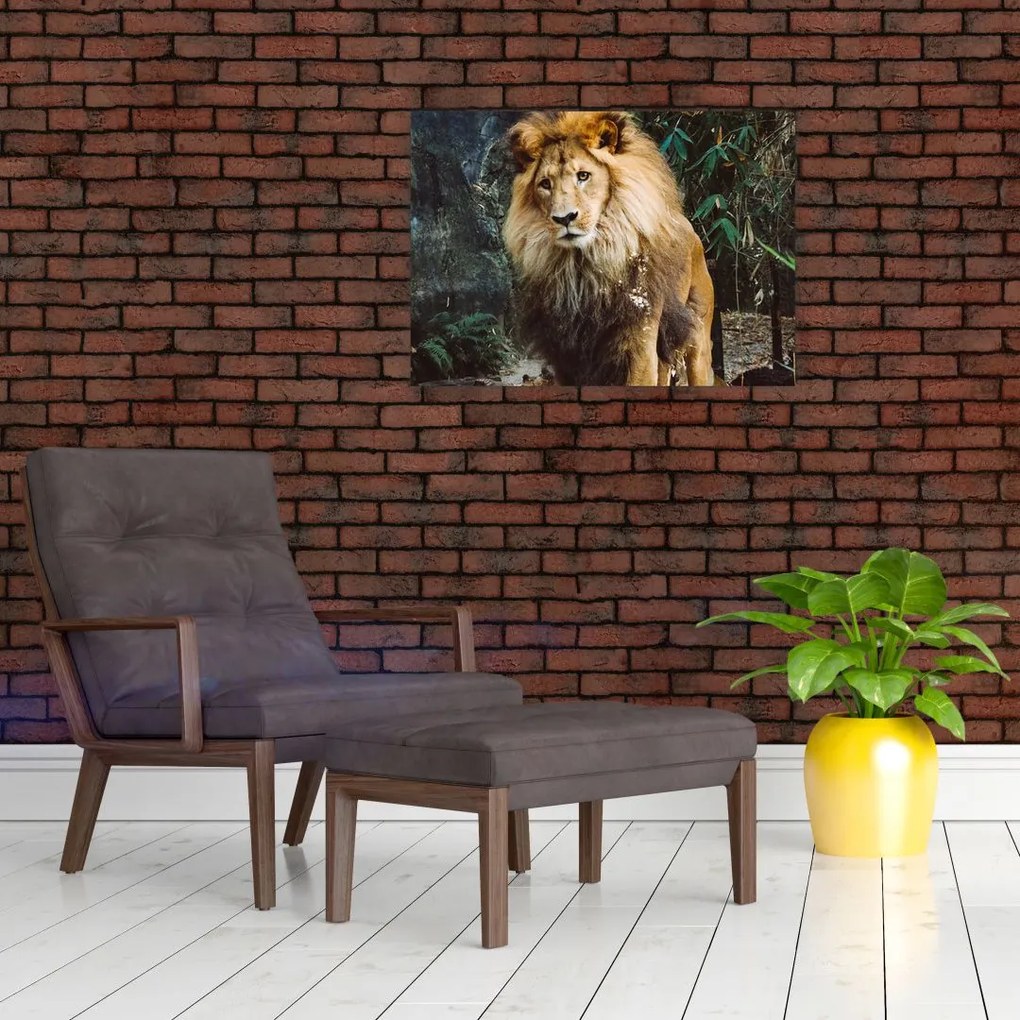 Obraz lwa w naturze (70x50 cm)