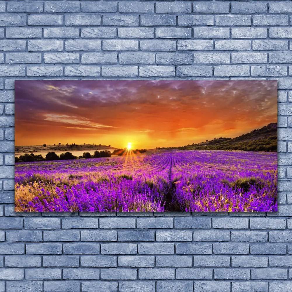 Obraz canvas Pole Lawendy o Zmierzchu