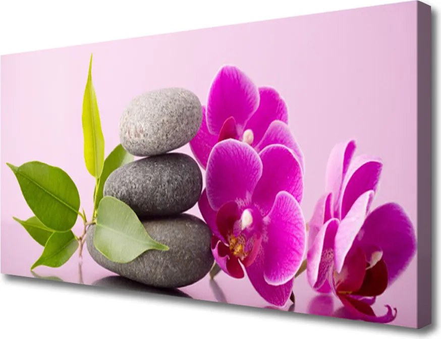 Zdjęcie na płótnie Fioletowa Orchidea w Detalu