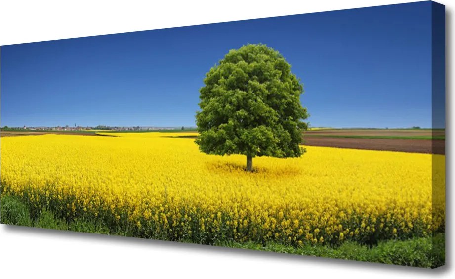 Zdjęcie na płótnie Samotne Drzewo w Polu