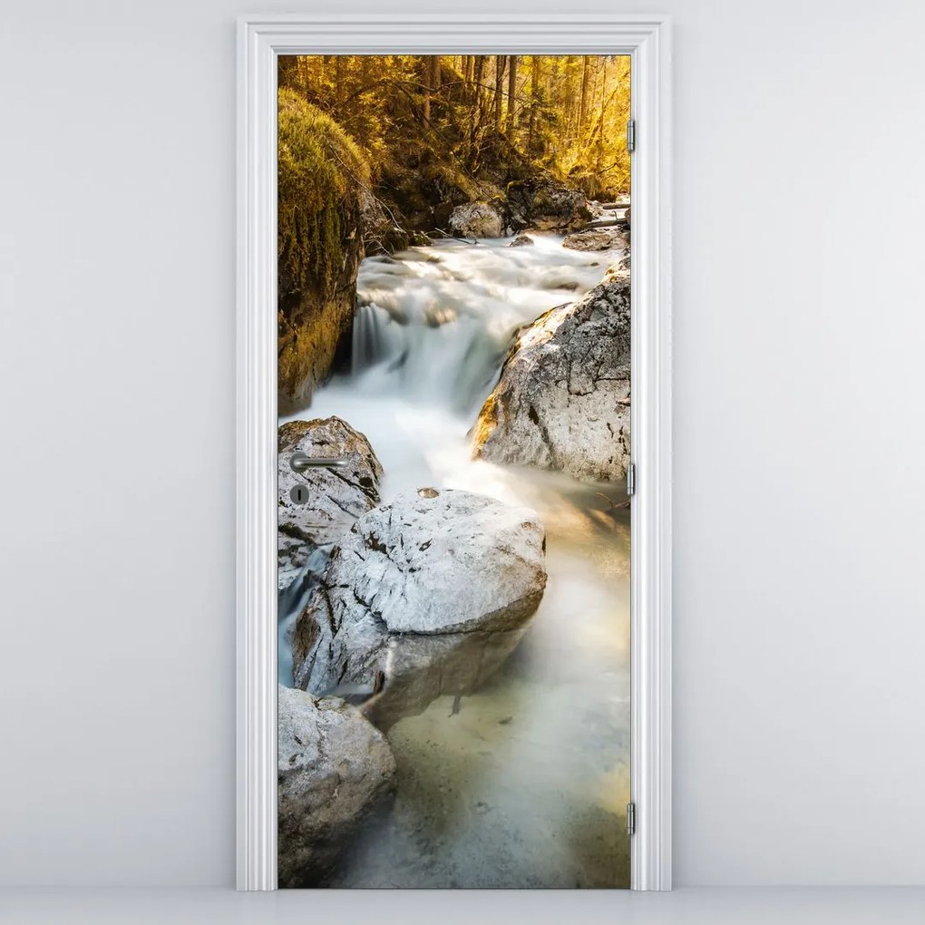 Fototapeta na drzwi - Leśny potok (95x205cm)