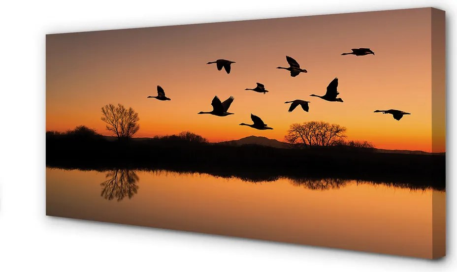 Obraz na płótnie Ptaki w Locie o Zachodzie Słońca