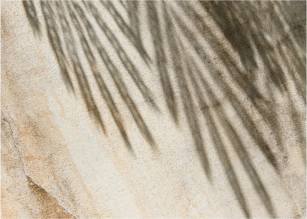 Obraz - Cienie (70x50 cm)