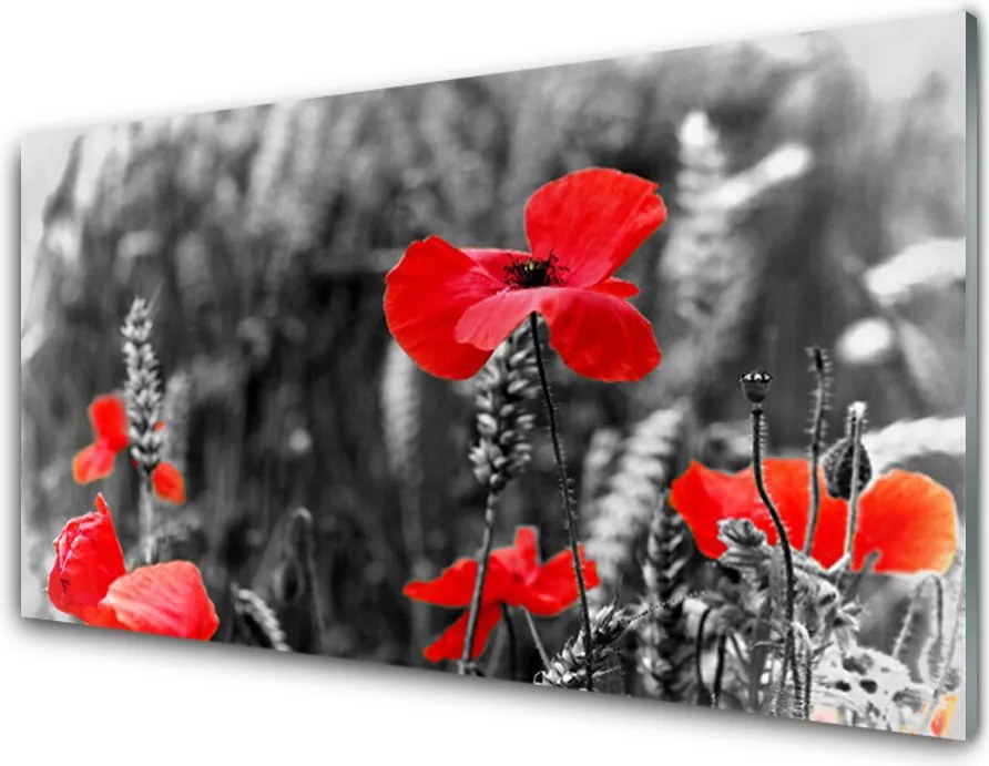 Panel Kuchenny Klasyczne Czerwone Maki