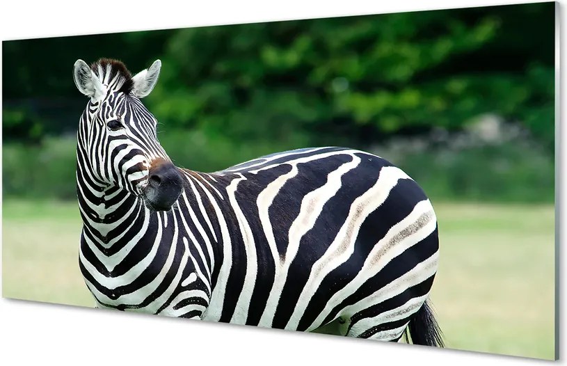 Panel szklany do Kuchni Zebra na tle Afrykańskiej Równiny