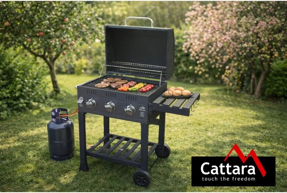 Grill gazowy Royal Gas L – Cattara