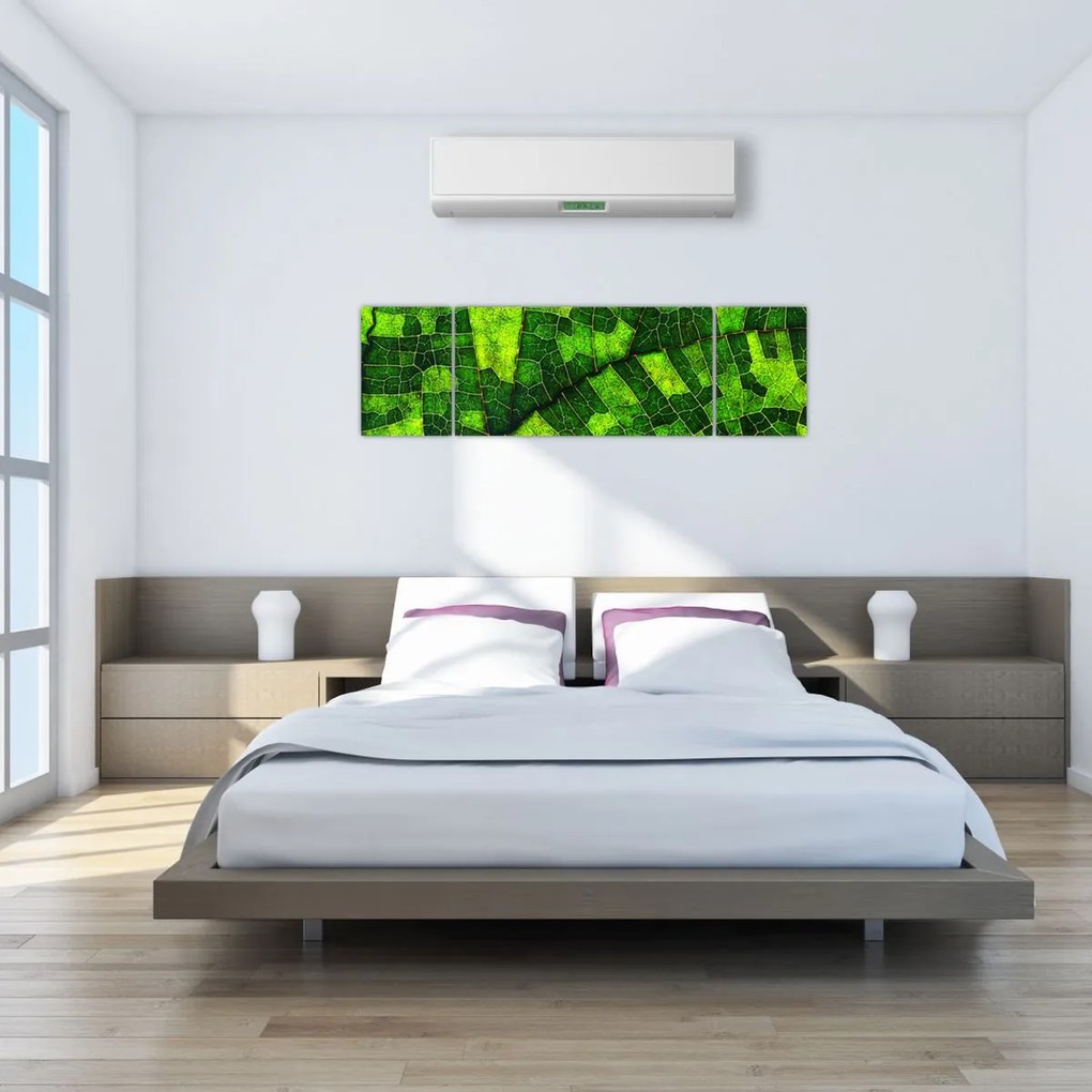 Obraz - Detal liścia (170x50 cm)