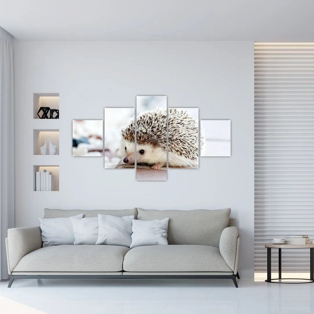 Obraz jeża (125x70 cm)