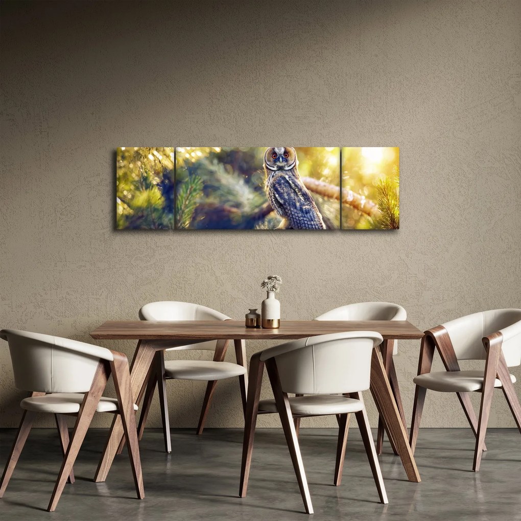 Obraz sowy na drzewie (170x50 cm)