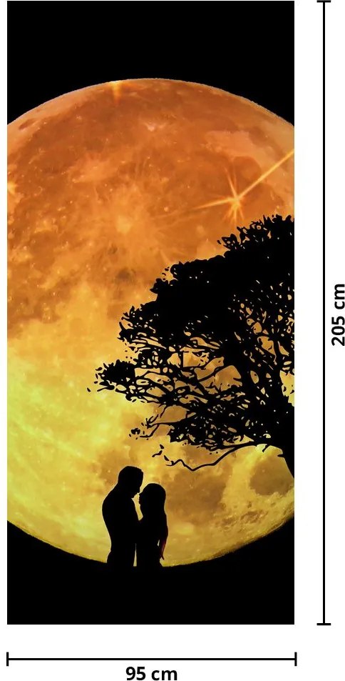 Fototapeta na drzwi - Cienie w świetle księżyca (95x205cm)