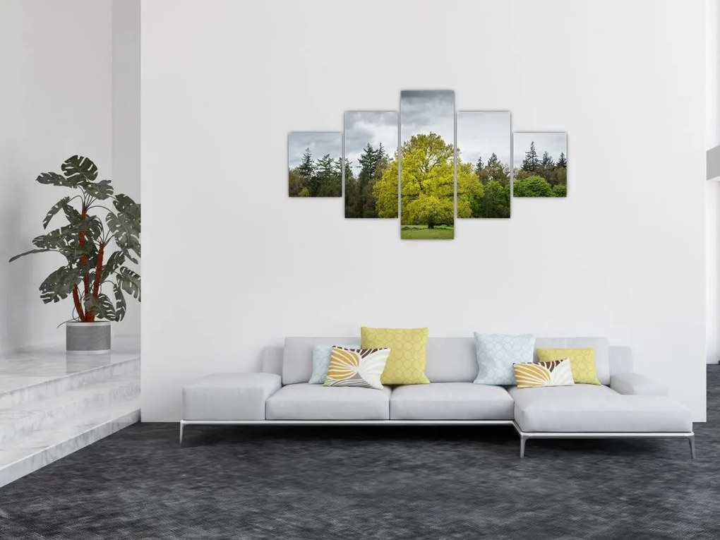 Obraz zielonego drzewa na środku pola (125x70 cm)