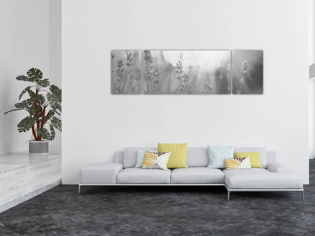 Obraz - Lawenda (170x50 cm)