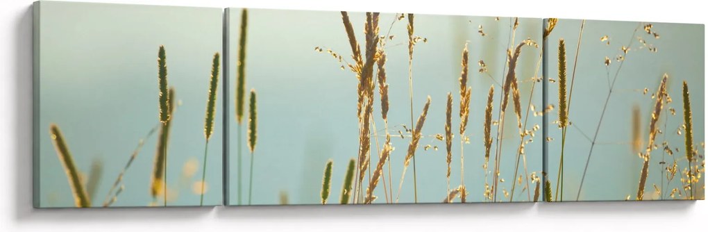 Obraz - Łąkowa chwila (170x50 cm)