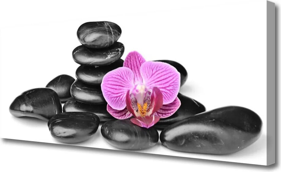 Obraz na płótnie Układ Kamieni z Akcentem Kwiatowym