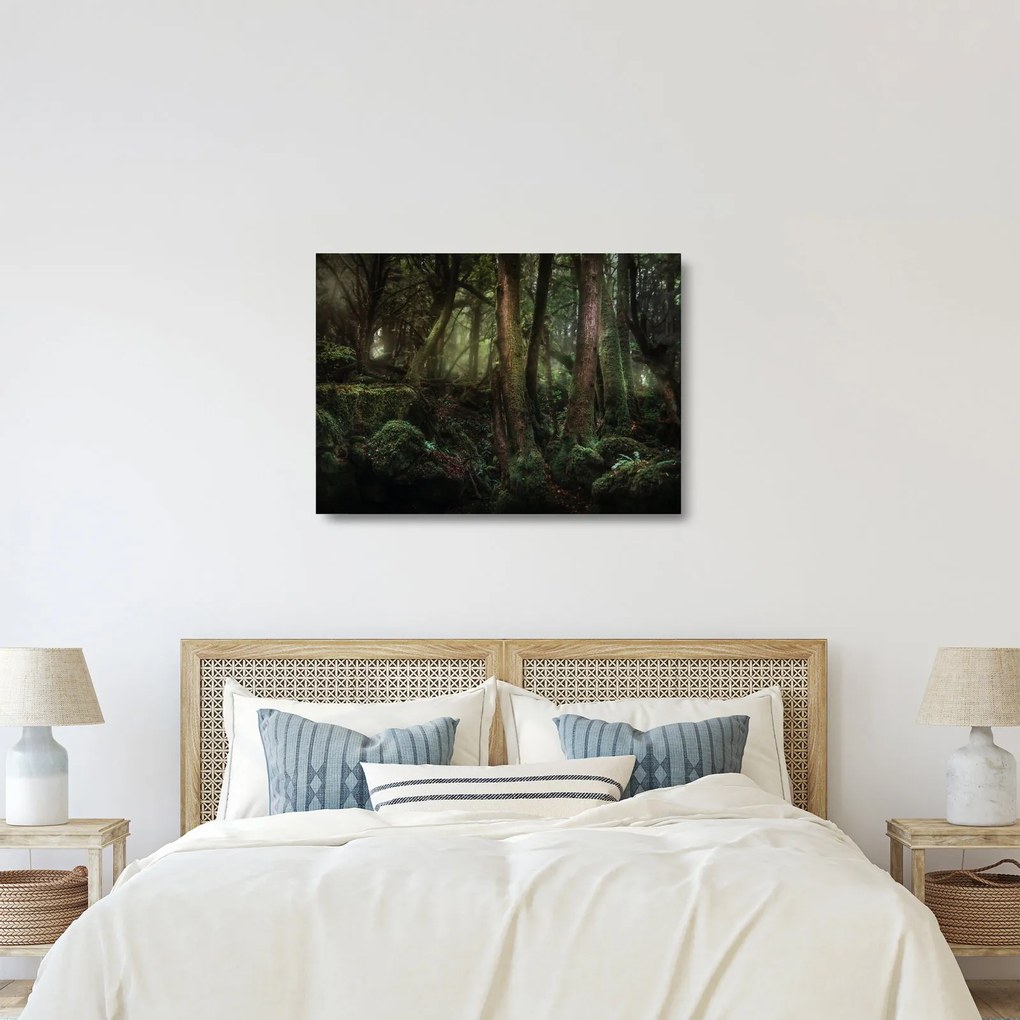 Obraz na szkle - Tajemniczy las (70x50 cm)