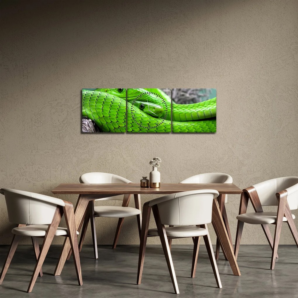 Obraz zielonych węży (z zegarem) (90x30 cm)