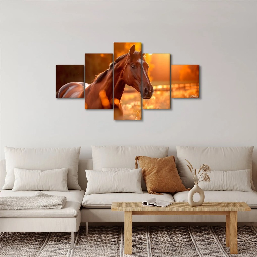 Obraz - Koń o zachodzie słońca (125x70 cm)