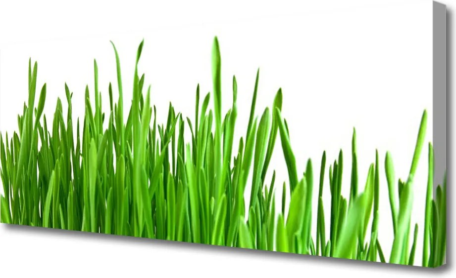 Fotoobraz na płótnie Szum Traw na Wietrze