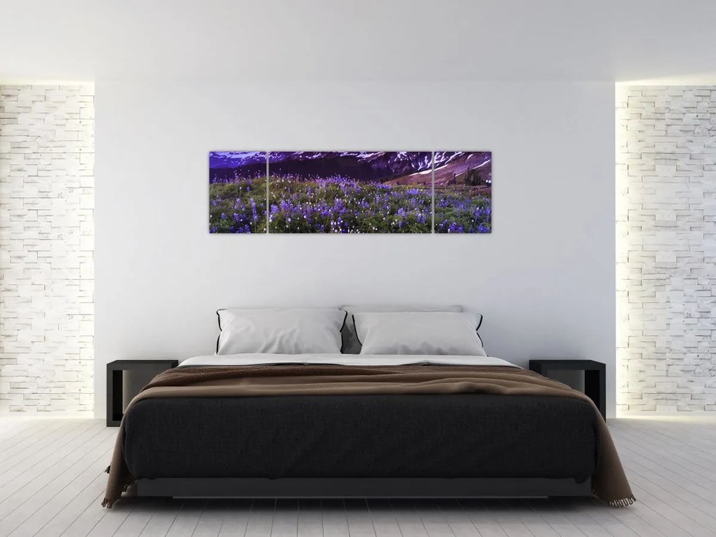 Obraz - Wulkan i kwiaty (170x50 cm)
