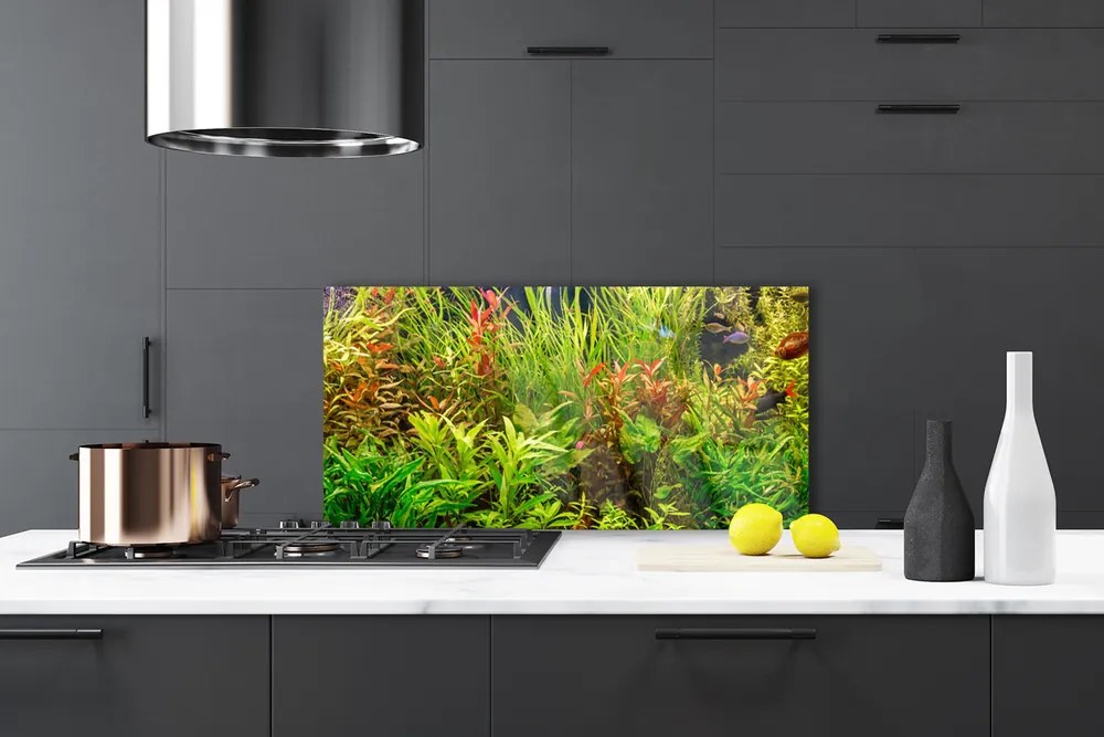 Szkło nad Blatem Podwodny Świat Akwarium