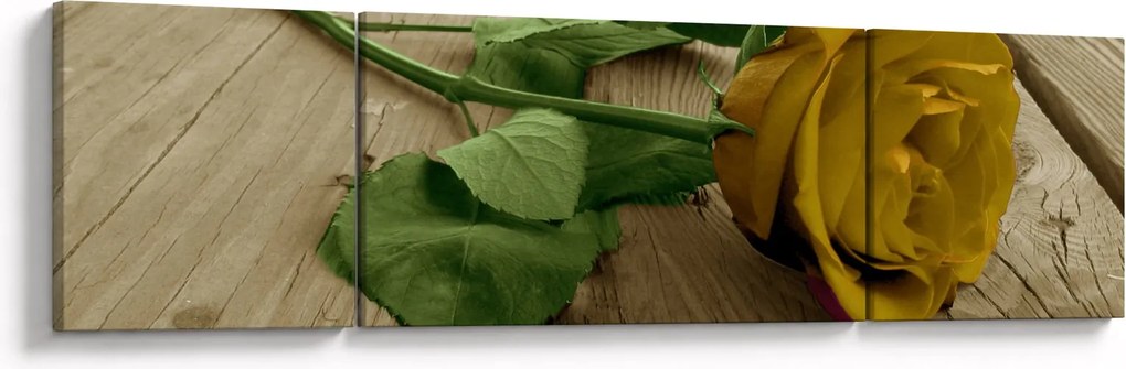 Obraz - Żółte róże w stylu vintage (170x50 cm)