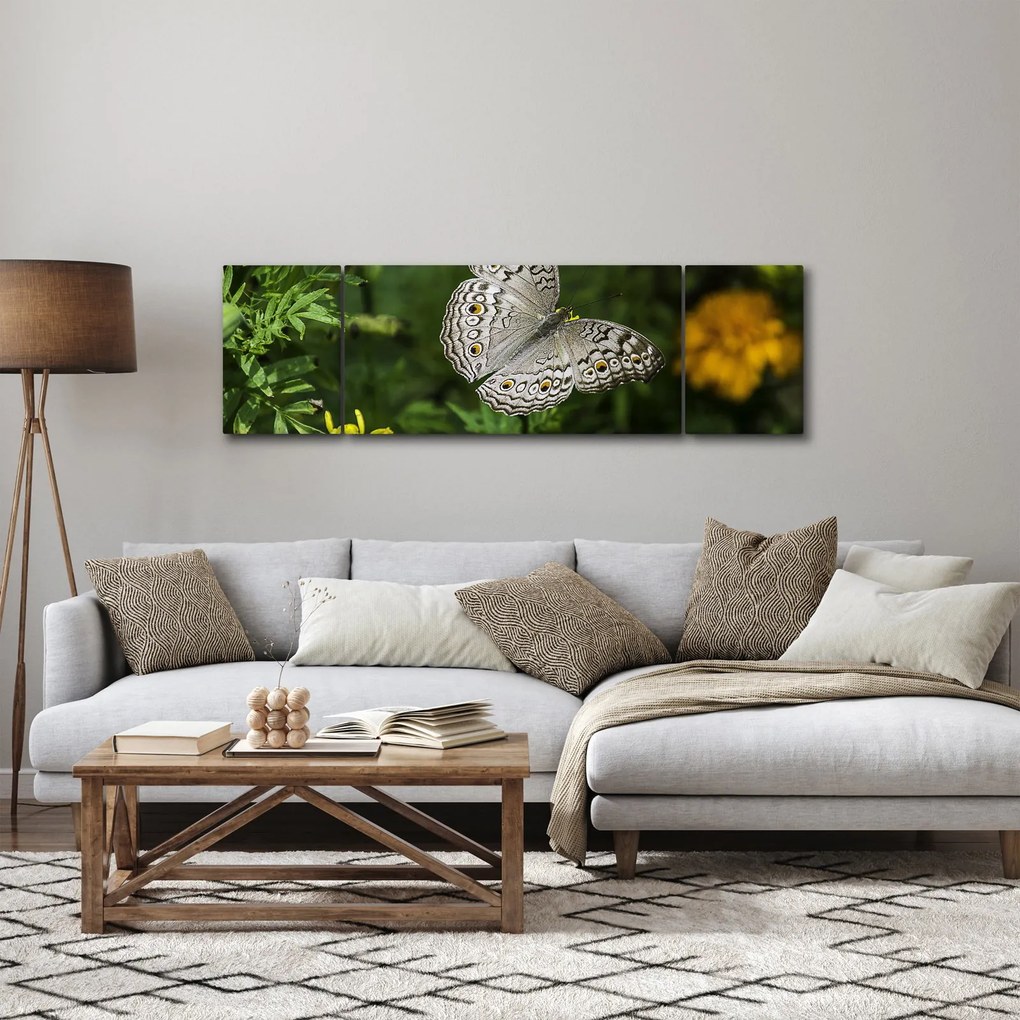 Obraz - biały motyl (170x50 cm)