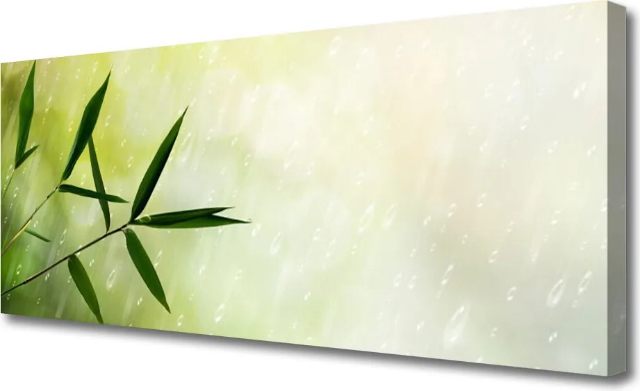 Fotoobraz na płótnie Liście w Strugach Deszczu