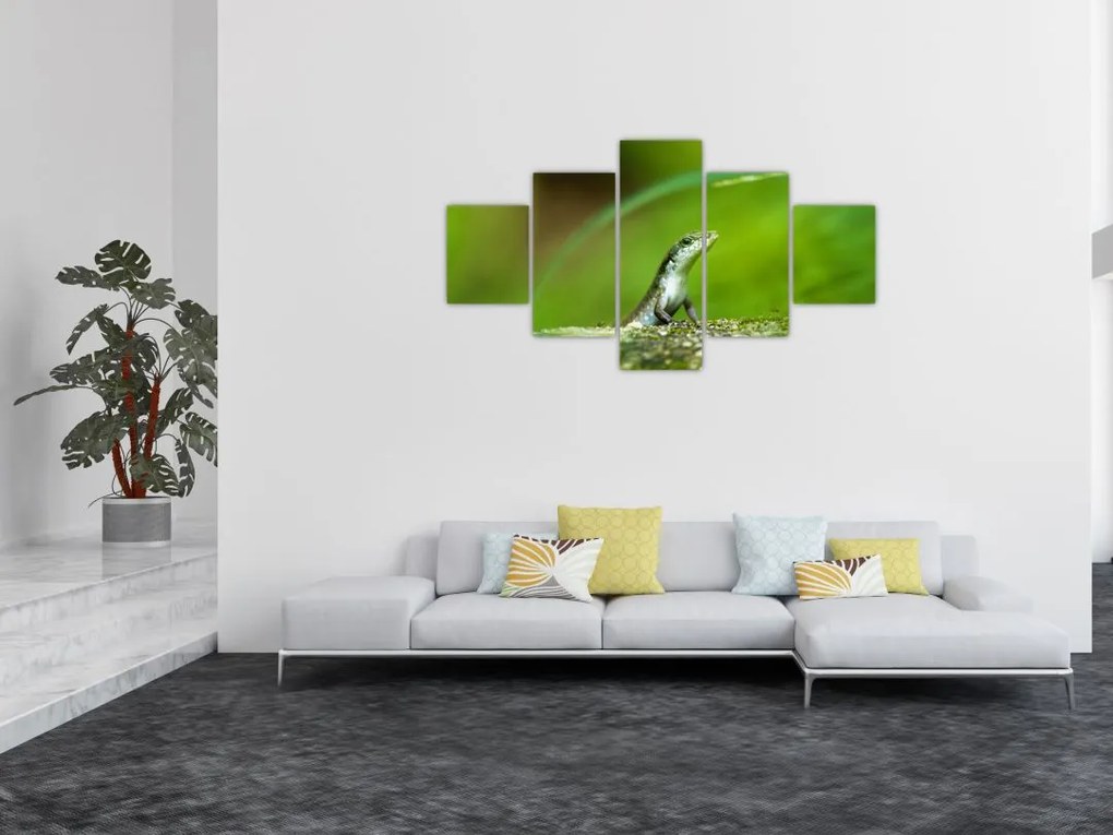 Obraz jaszczurki (125x70 cm)