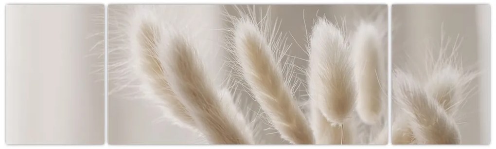 Obraz - Zajęcze ogonki (170x50 cm)